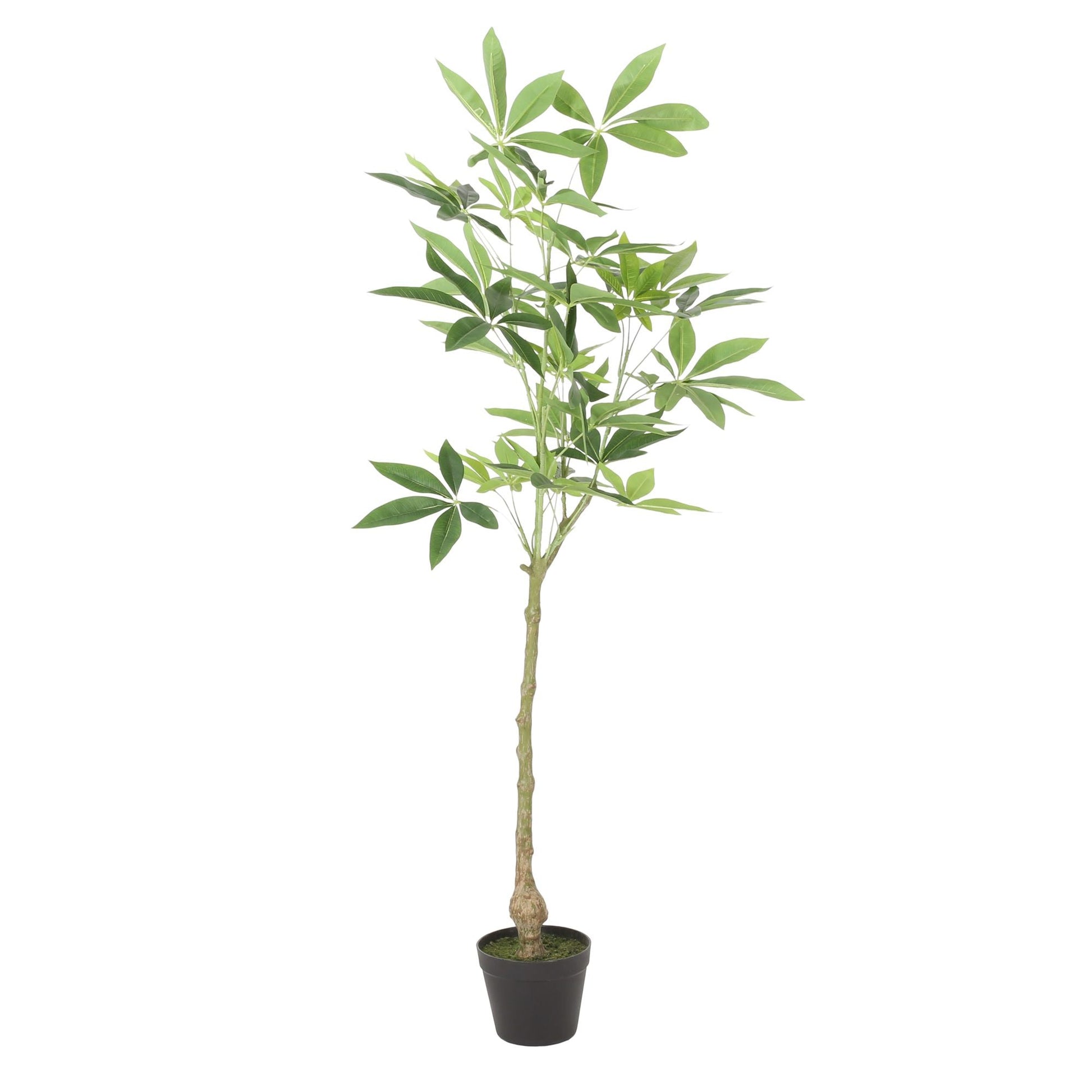 47.2 Inch Artificial Money Tree Pachira Plants - EcoStuff