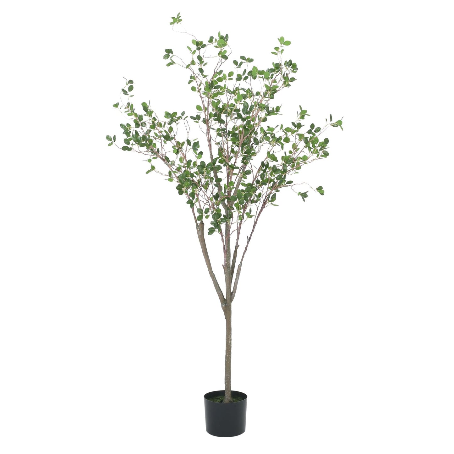 59 Inch Artificial Milan Leaf Bonsai Plant - EcoStuff