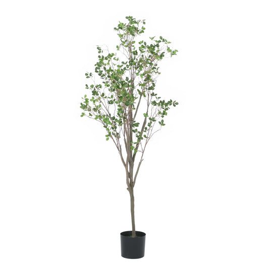 70.9 Inch Artificial Milan Leaf Bonsai - EcoStuff