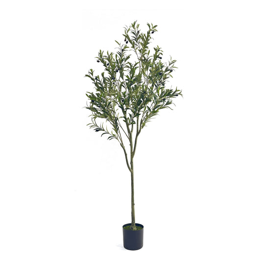 71 Inch Artificial Olive Tree Plant - EcoStuff