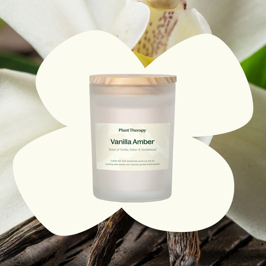 Vanilla Amber Naturally Scented Candle