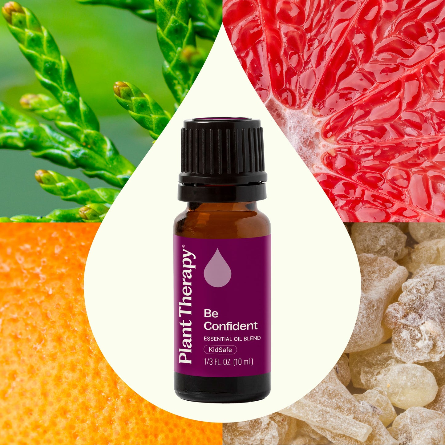 Be Confident Essential Oil Blend - EcoStuff