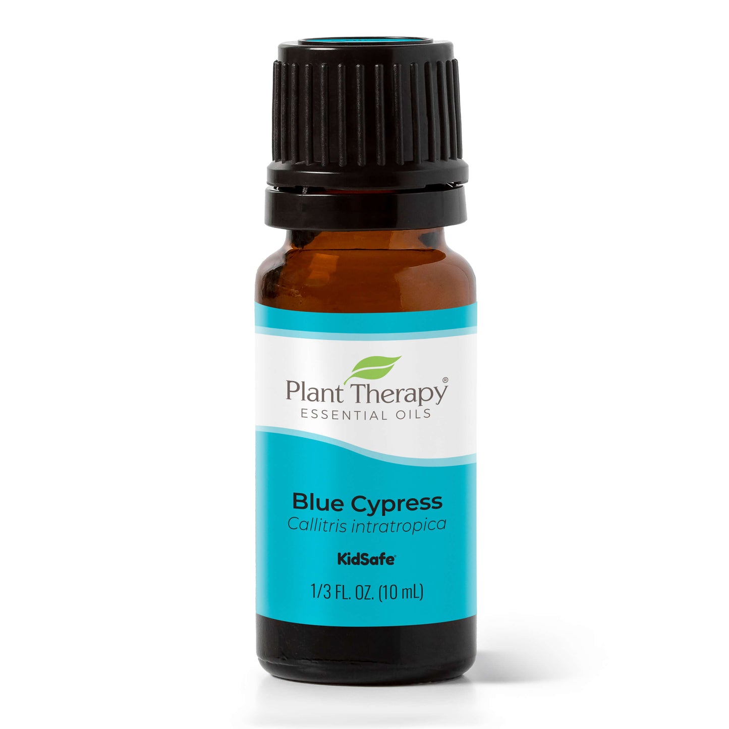 Blue Cypress Essential Oil - EcoStuff