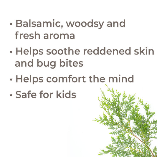 Blue Cypress Essential Oil - EcoStuff