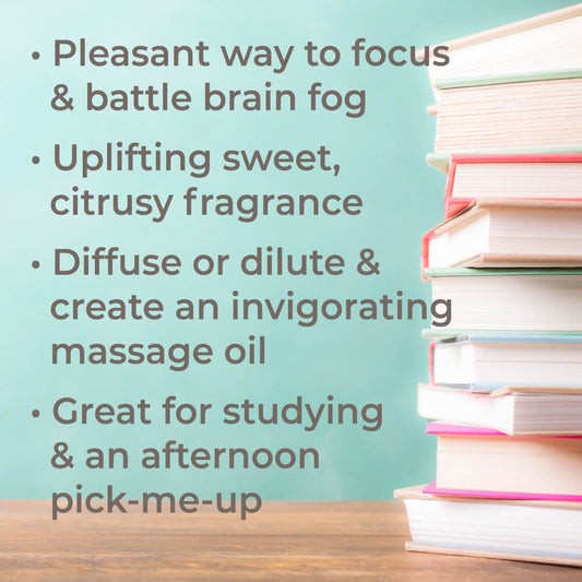 Brain Aid Essential Oil Blend Pre - Diluted Roll - On - EcoStuff