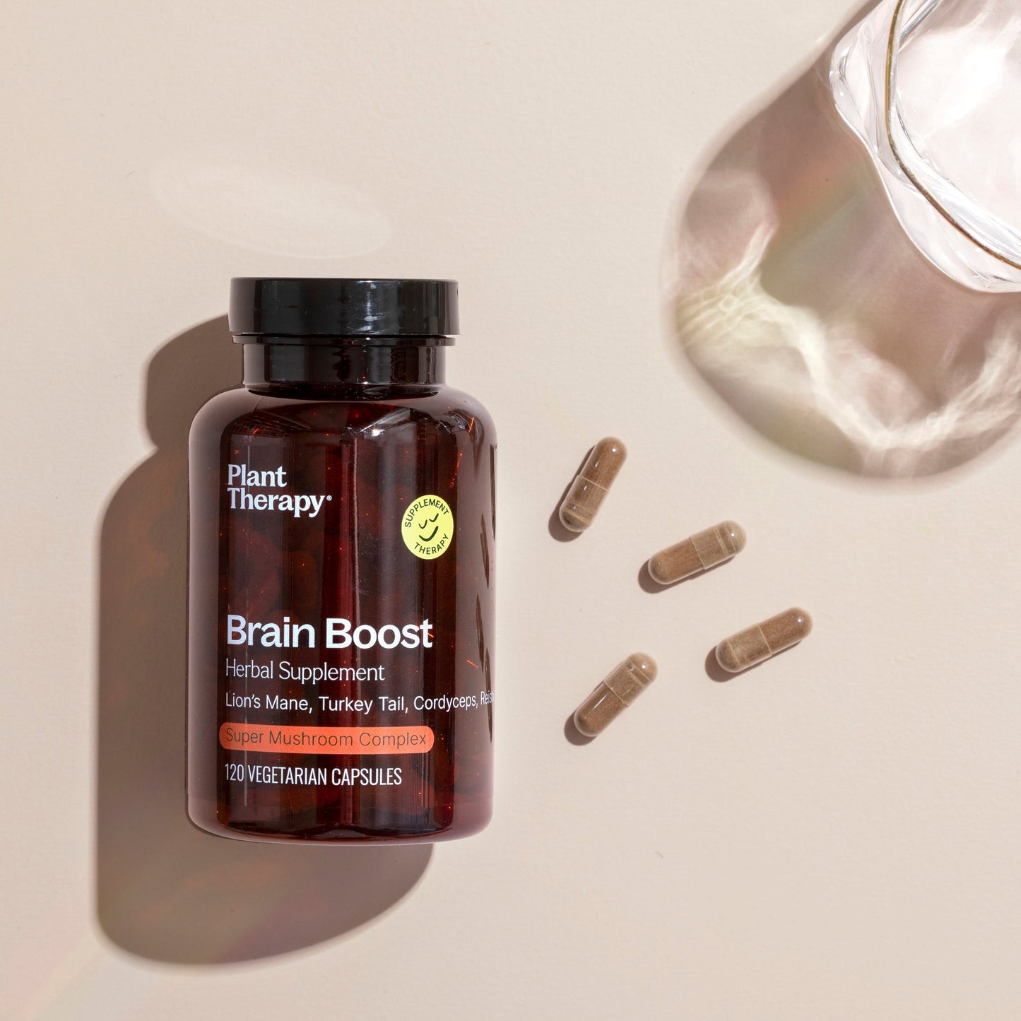 Brain Boost Herbal Supplement - 120 Capsules - EcoStuff