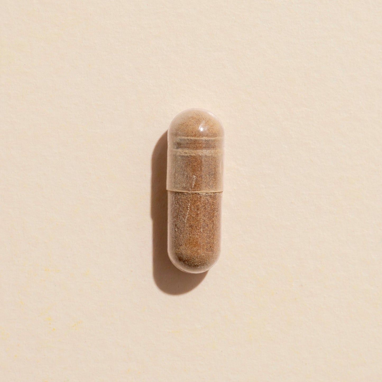 Brain Boost Herbal Supplement - 120 Capsules - EcoStuff