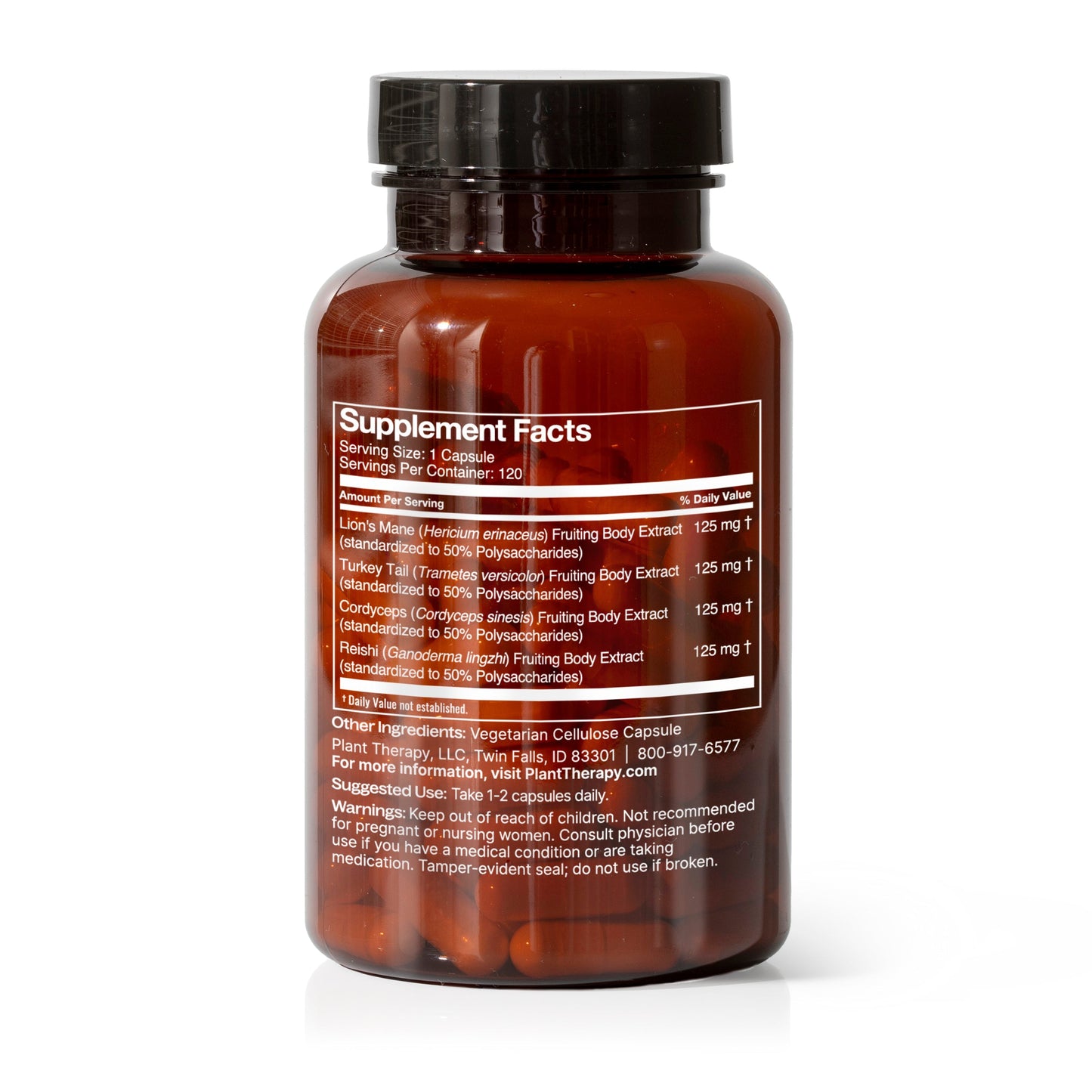Brain Boost Herbal Supplement - 120 Capsules - EcoStuff