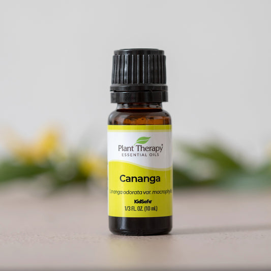 Cananga Essential Oil - EcoStuff