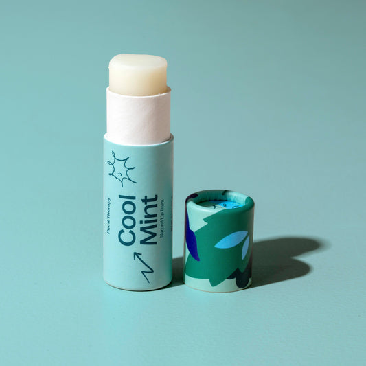 Cool Mint Natural Lip Balm - EcoStuff