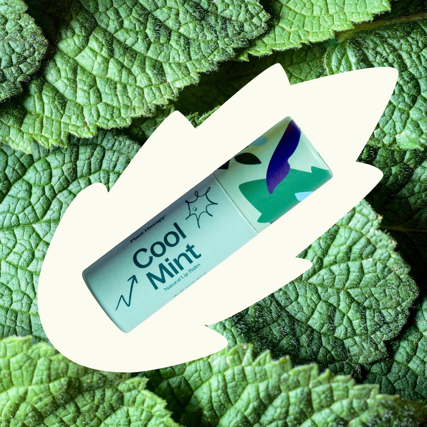 Cool Mint Natural Lip Balm - EcoStuff