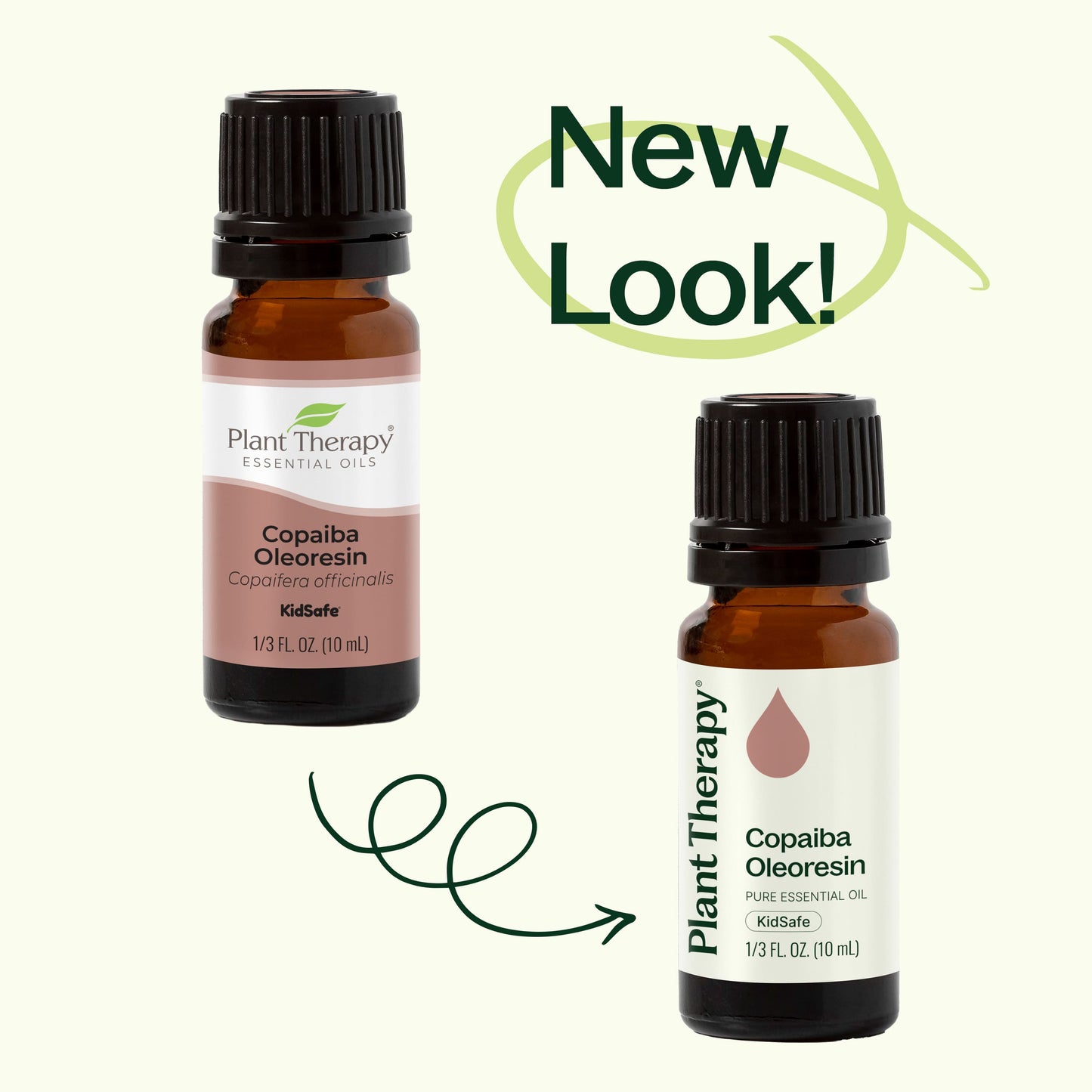 Copaiba Oleoresin - EcoStuff