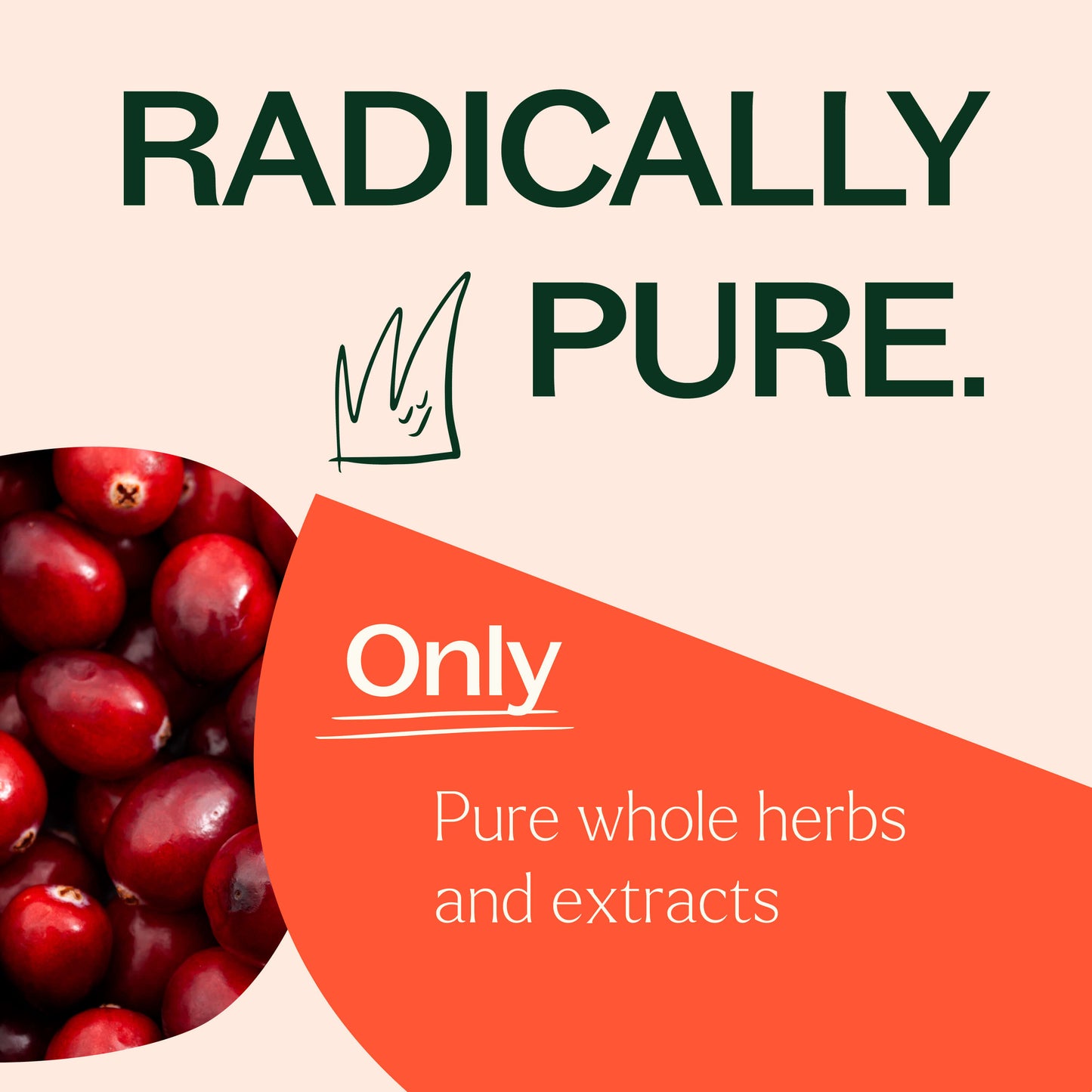 Cranberry with Vitamin C Herbal Supplement - 120 Capsules - EcoStuff