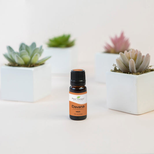 Davana Essential Oil - EcoStuff