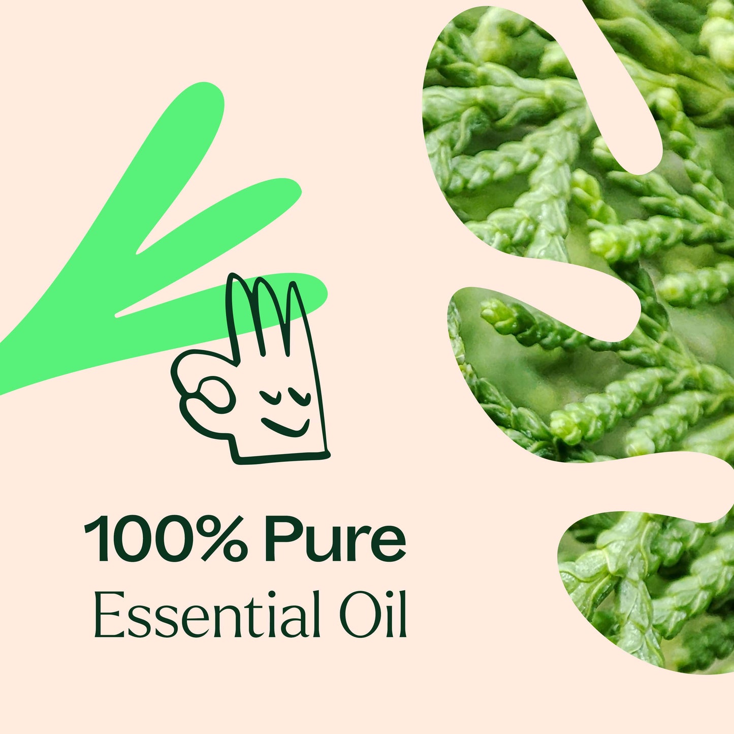 Deodorizing Essential Oil Blend - EcoStuff