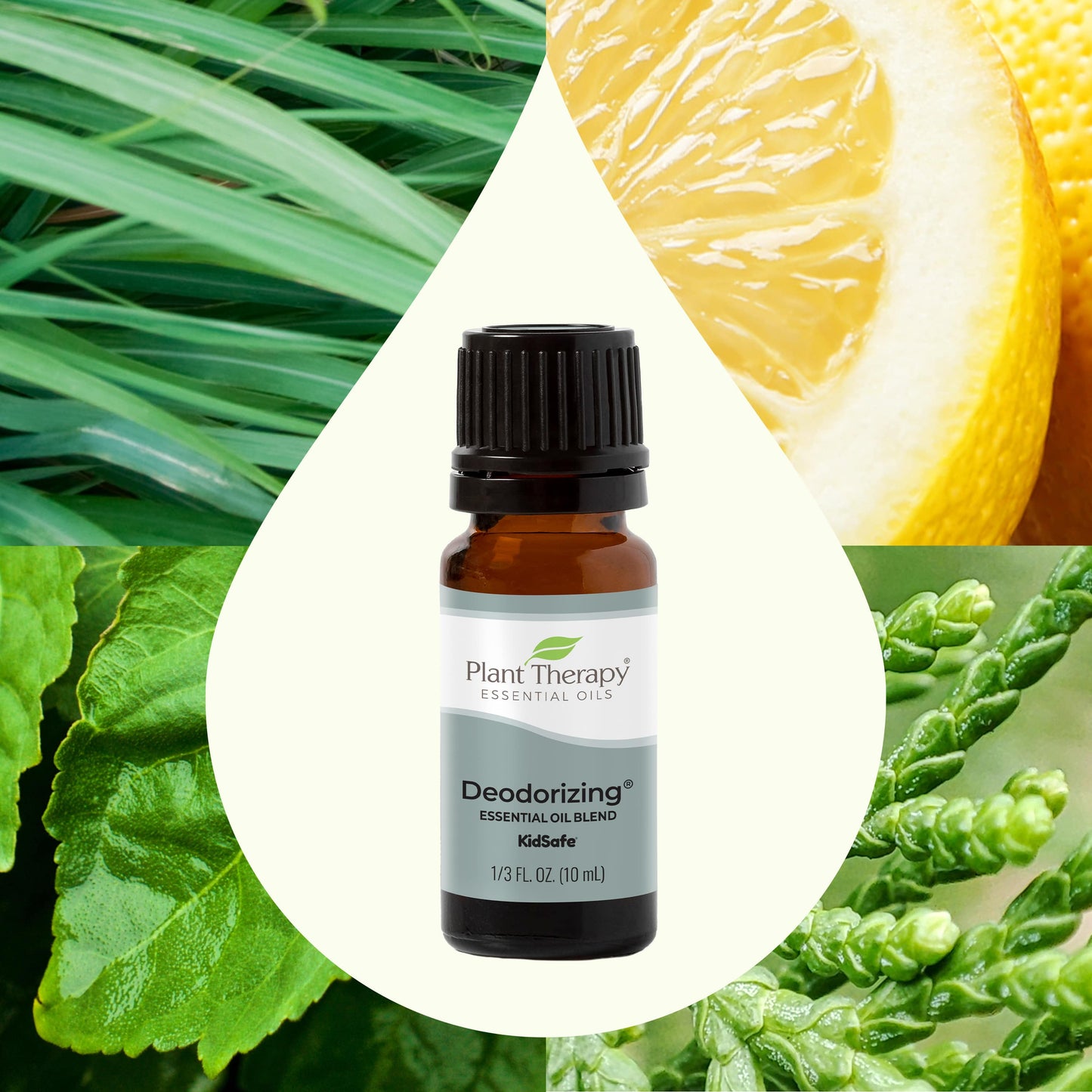 Deodorizing Essential Oil Blend - EcoStuff