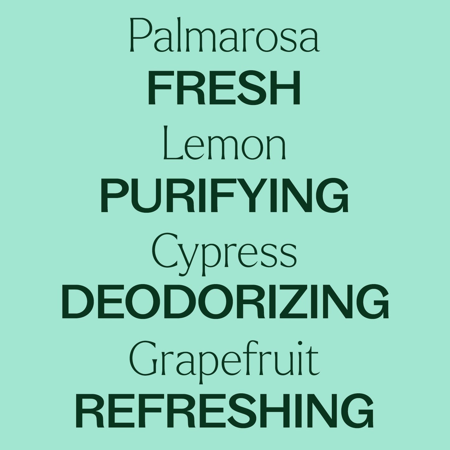Deodorizing Powder - EcoStuff