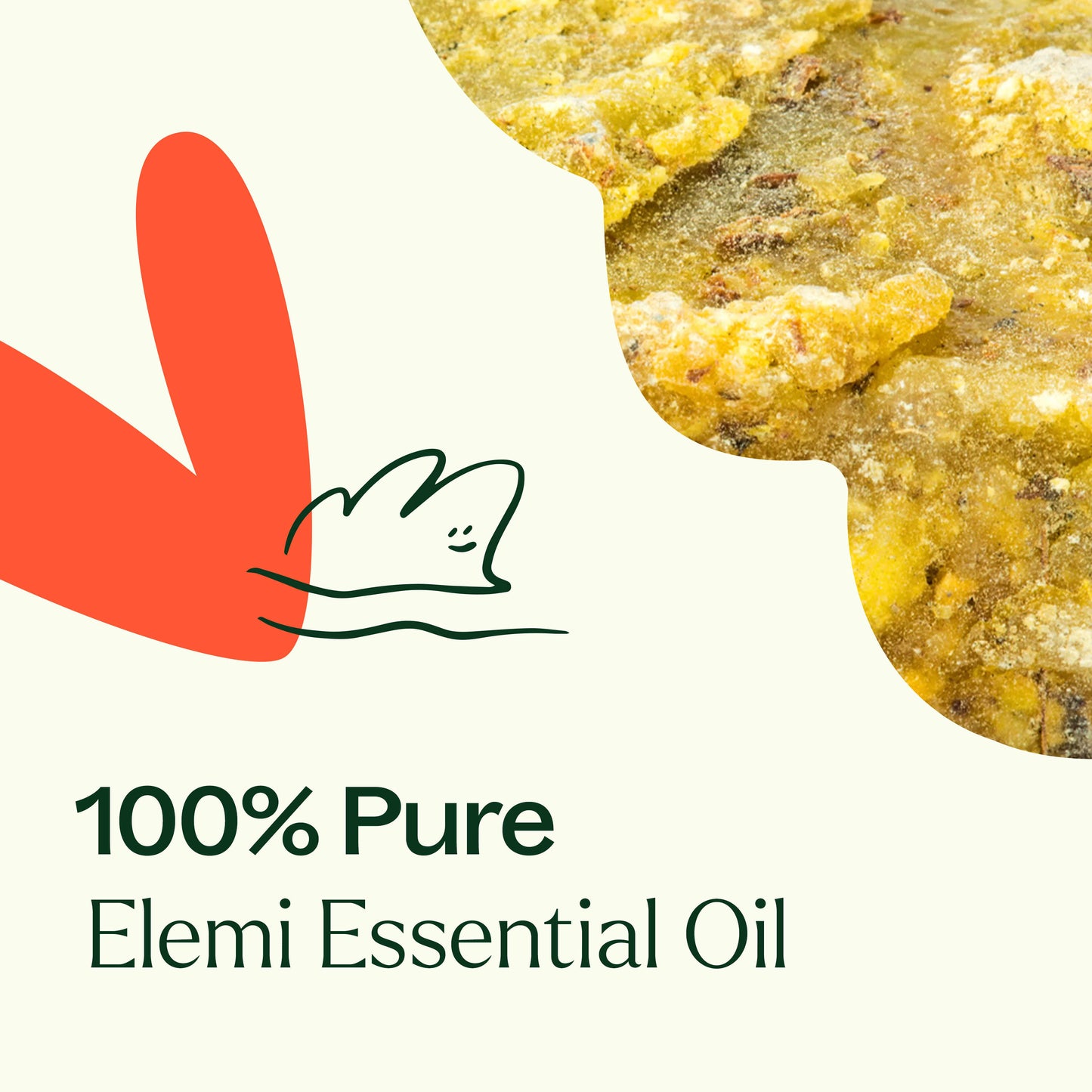 Elemi Essential Oil - EcoStuff