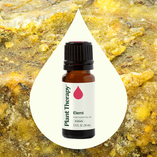 Elemi Essential Oil - EcoStuff
