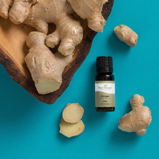 Ginger Essential Oil - EcoStuff