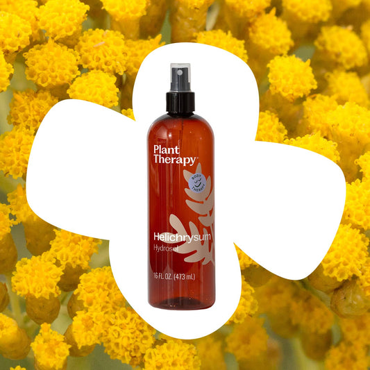 Helichrysum Hydrosol - EcoStuff