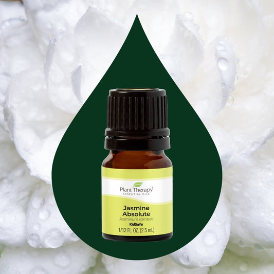 Jasmine Absolute Essential Oil - EcoStuff