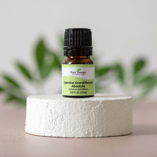 Jasmine Grandiflorum Absolute - EcoStuff