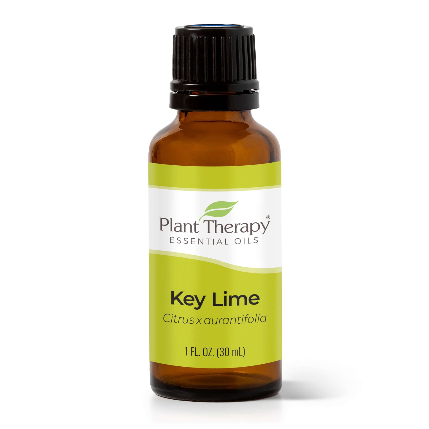 Key Lime Essential Oil - EcoStuff