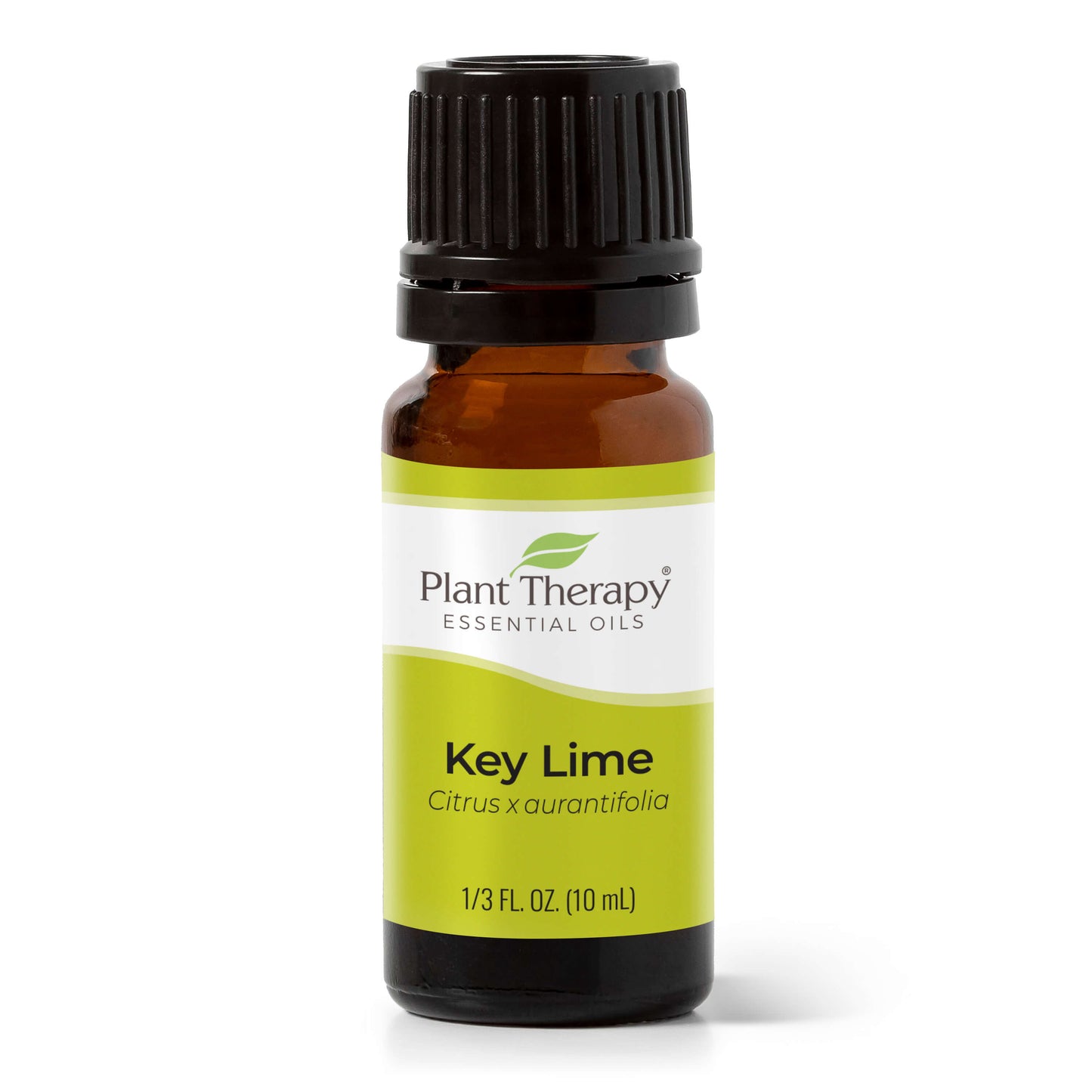 Key Lime Essential Oil - EcoStuff