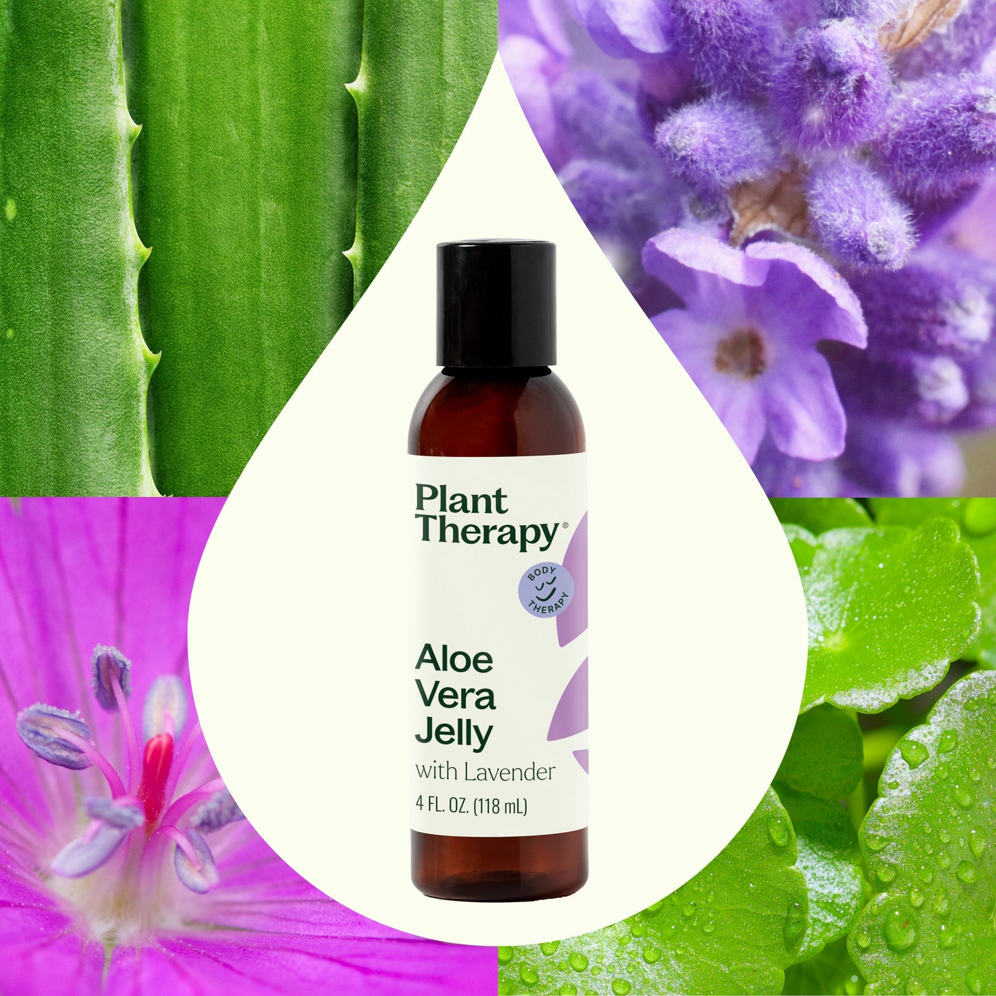 Lavender Aloe Vera Jelly - EcoStuff