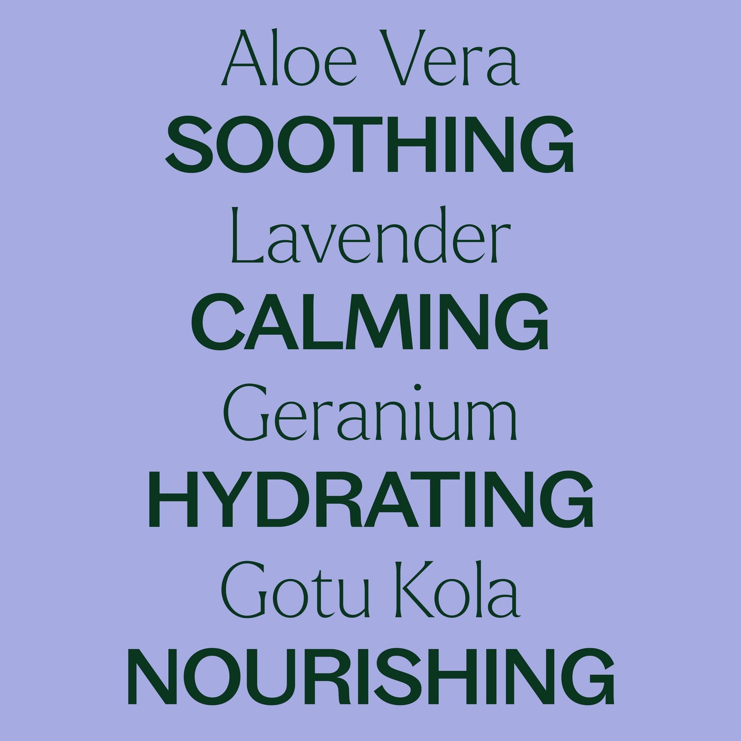 Lavender Aloe Vera Jelly - EcoStuff