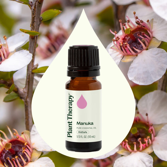 Manuka Essential Oil - EcoStuff