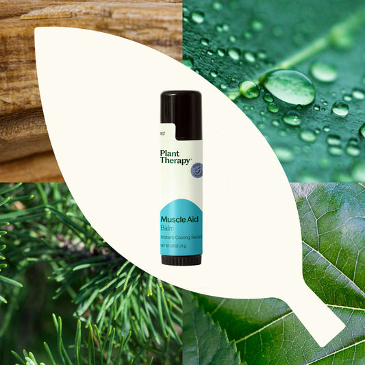 Muscle Aid Balm - EcoStuff