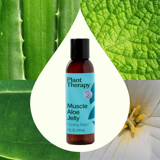 Muscle Aloe Jelly - EcoStuff