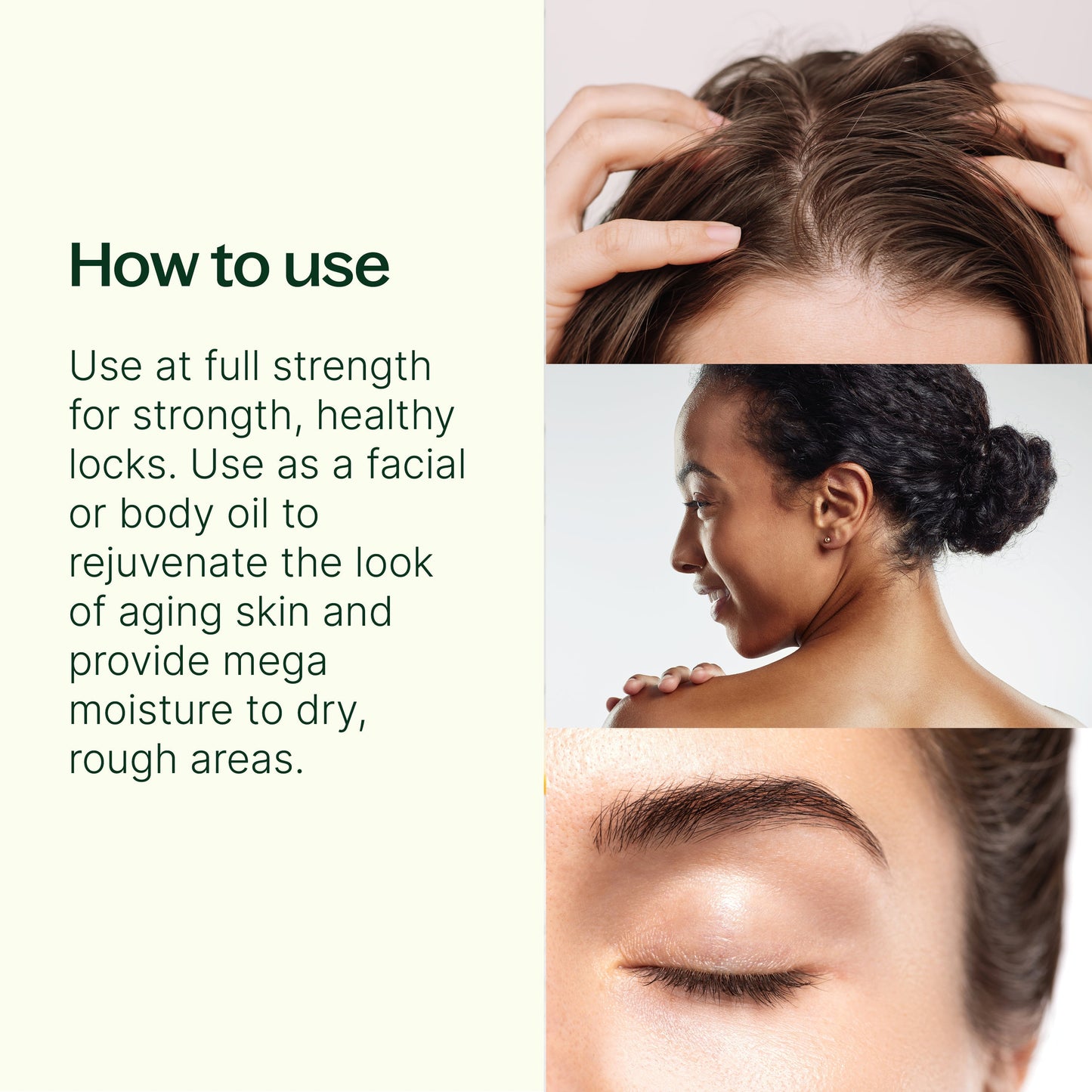 Organic Argan Carrier Oil - EcoStuff
