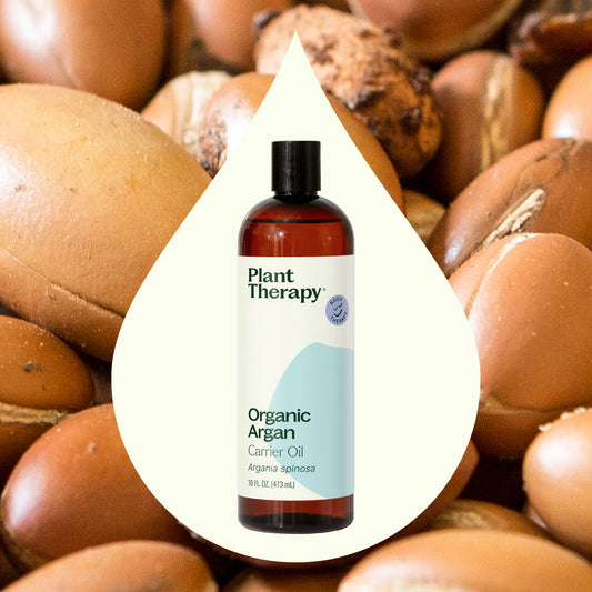 Organic Argan Carrier Oil - EcoStuff