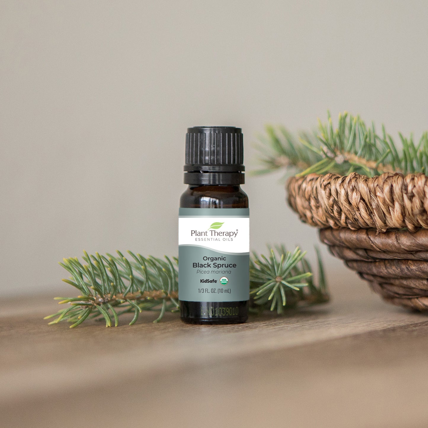 Organic Black Spruce Essential Oil - EcoStuff