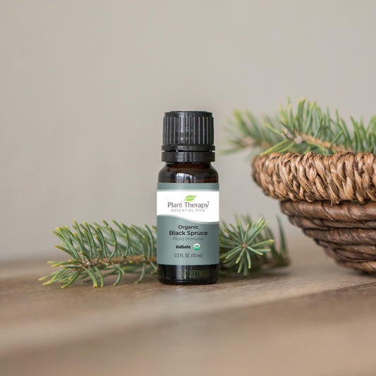 Organic Black Spruce Essential Oil - EcoStuff