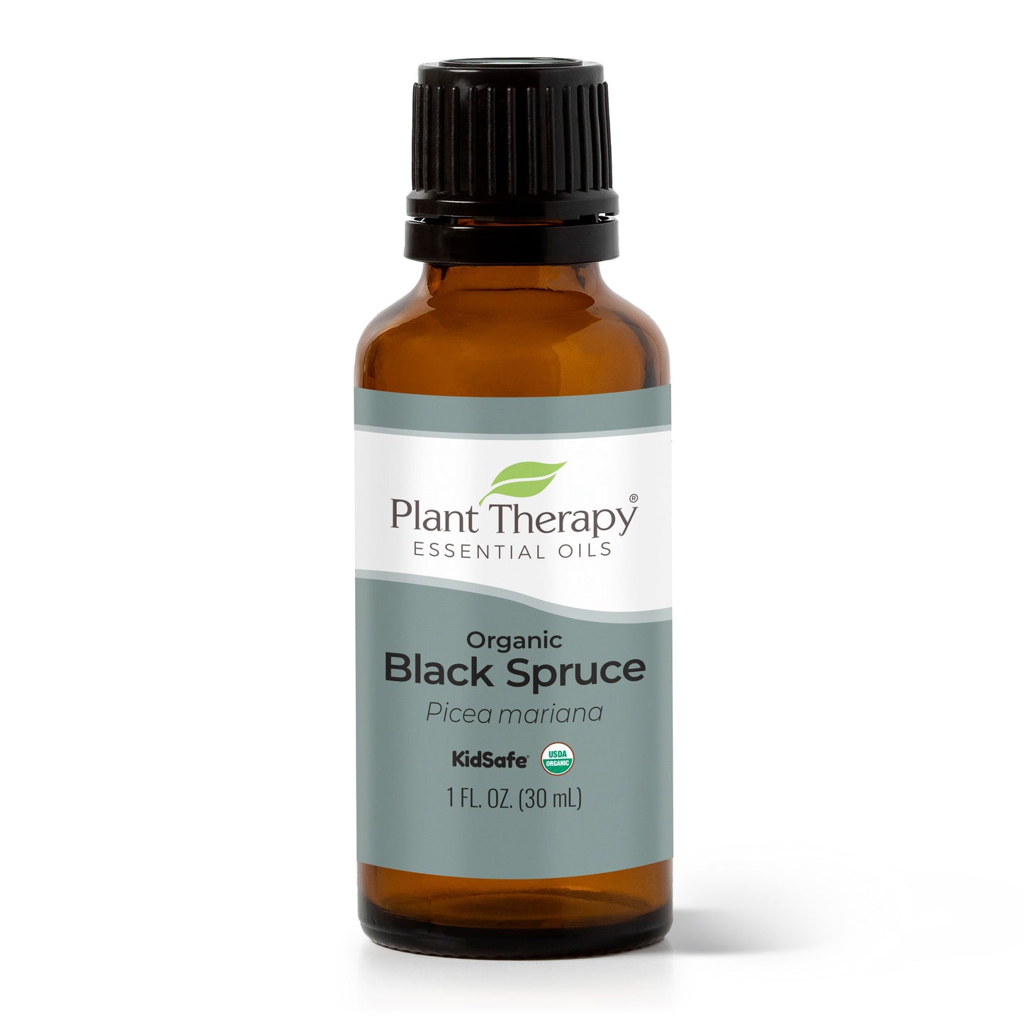 Organic Black Spruce Essential Oil - EcoStuff