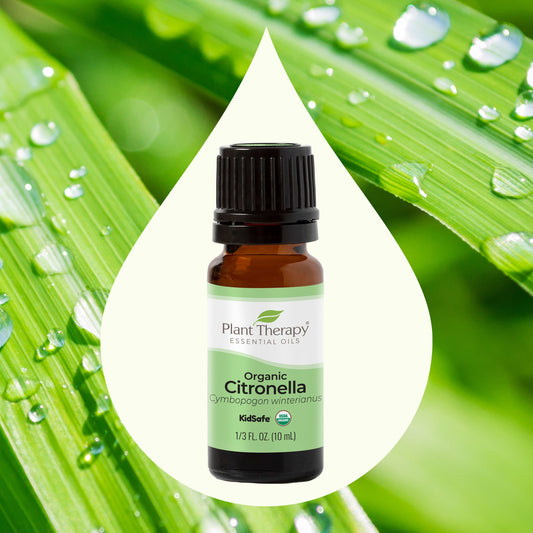 Organic Citronella Essential Oil - EcoStuff