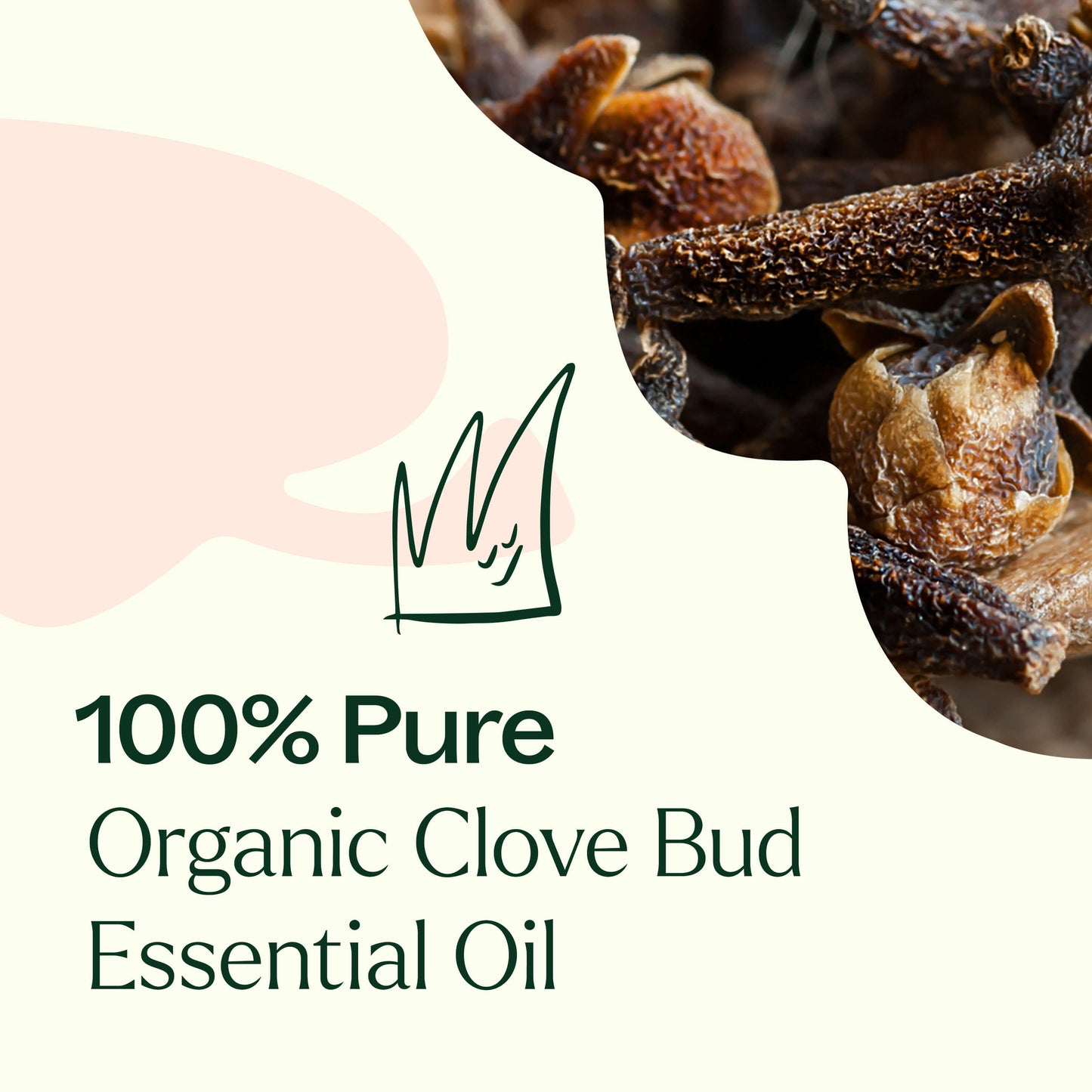 Organic Clove Bud Essential Oil - EcoStuff