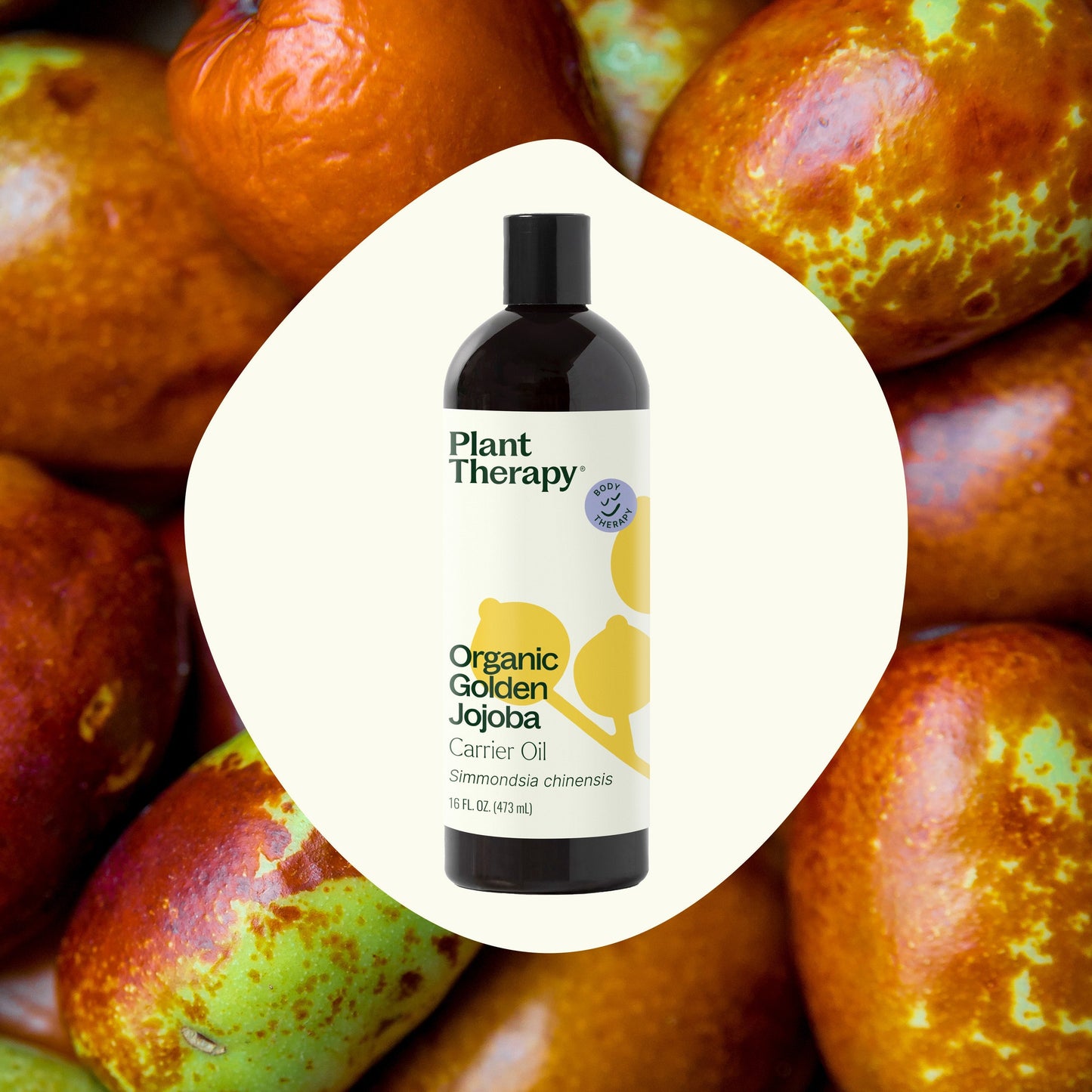 Organic Golden Jojoba Carrier Oil - EcoStuff