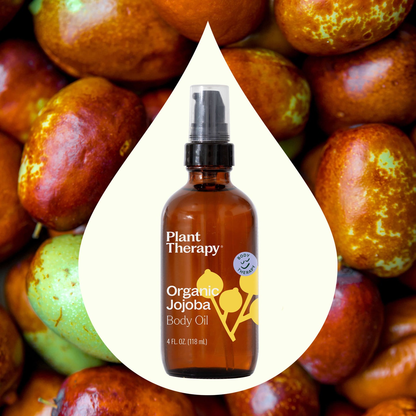 Organic Jojoba Body Oil 4 oz - EcoStuff