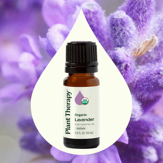 Organic Lavender Essential Oil - EcoStuff