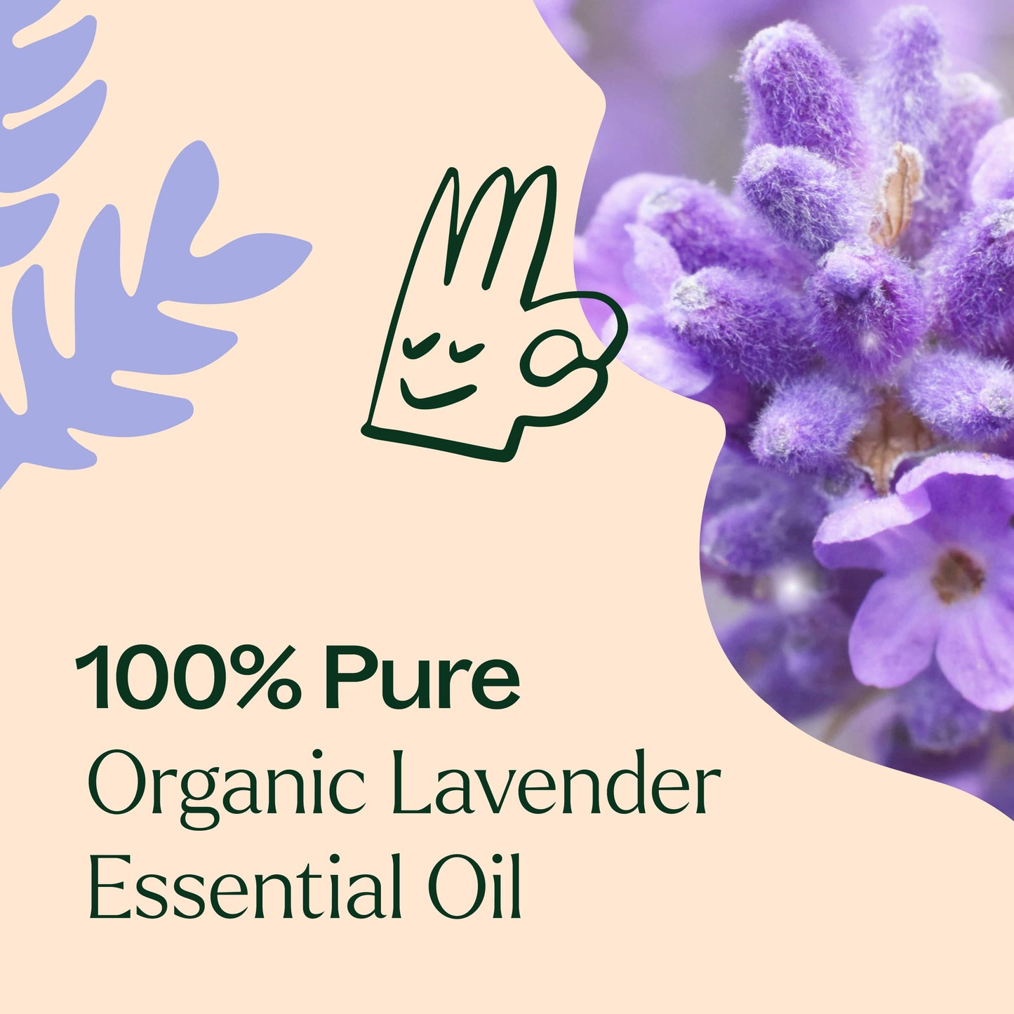 Organic Lavender Essential Oil - EcoStuff