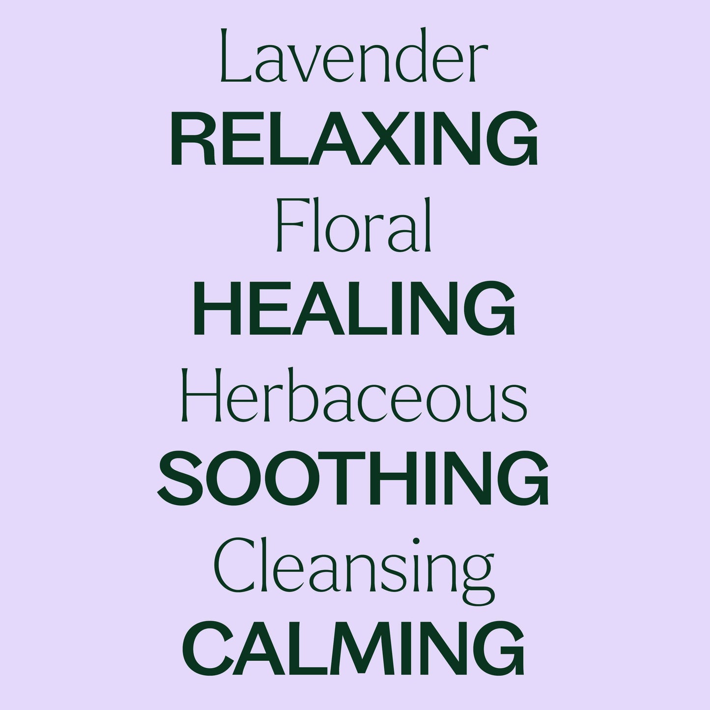 Organic Lavender Essential Oil - EcoStuff