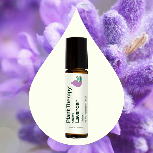 Organic Lavender Essential Oil Pre - Diluted Roll - On - EcoStuff