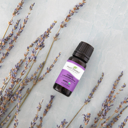 Organic Lavender Fine Essential Oil - EcoStuff