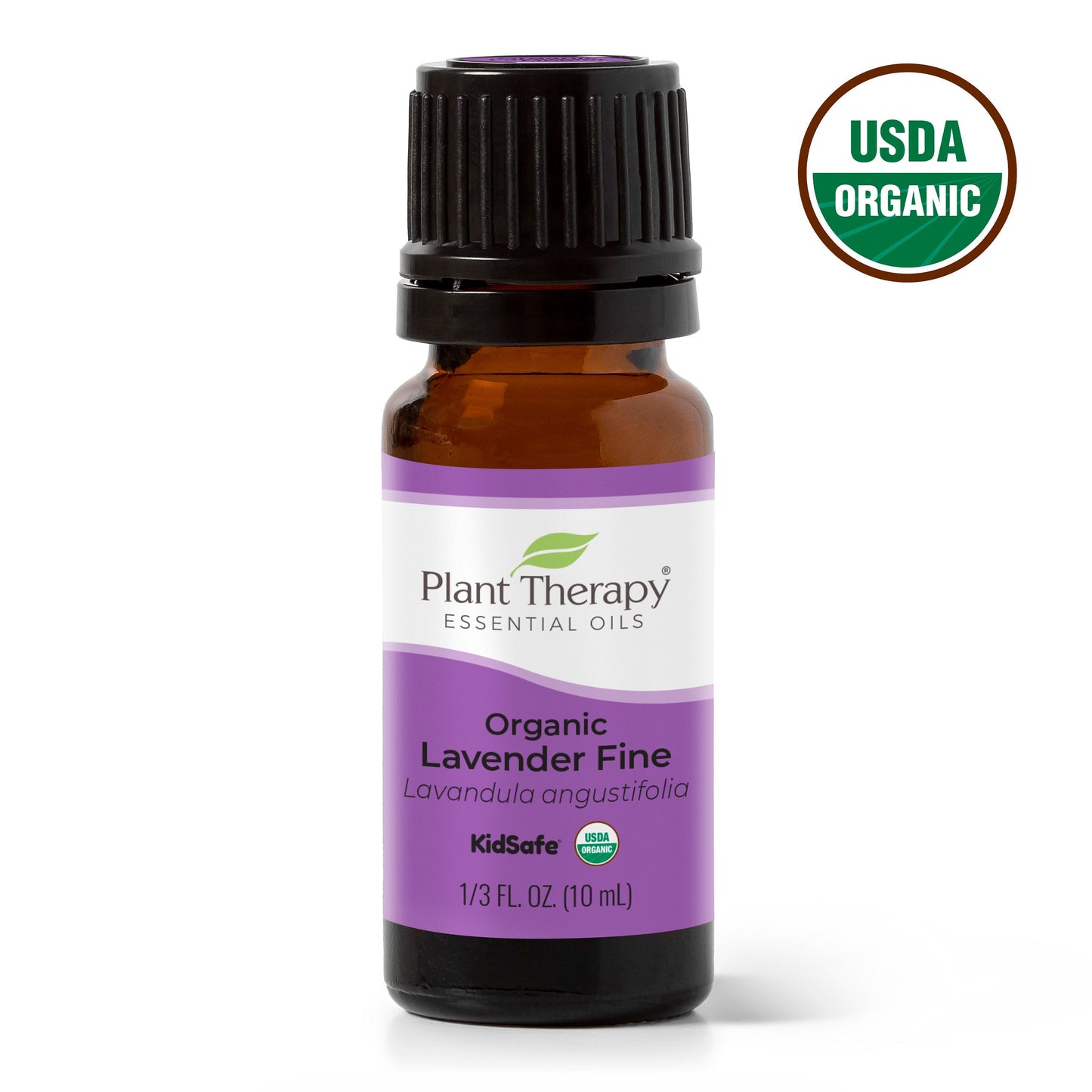 Organic Lavender Fine Essential Oil - EcoStuff