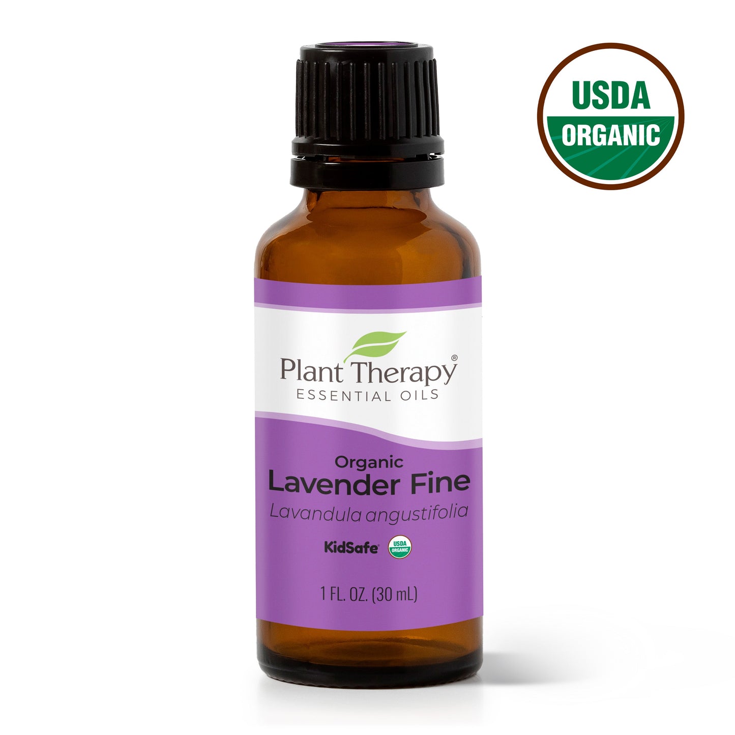 Organic Lavender Fine Essential Oil - EcoStuff